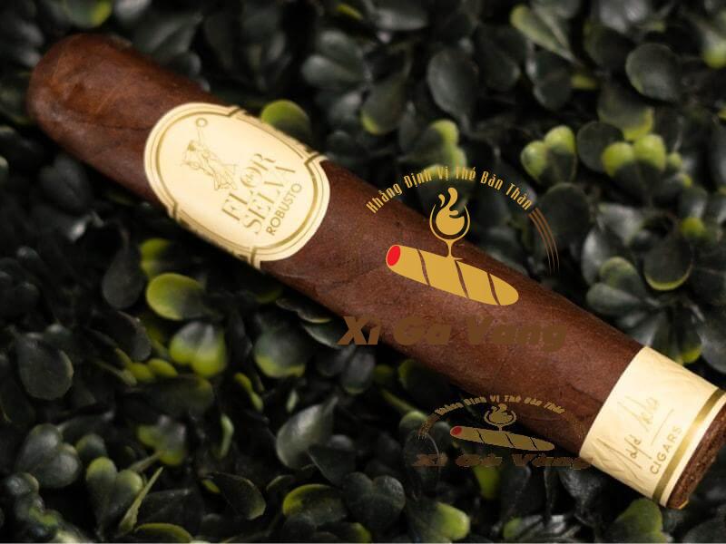 Đánh giá hình thức và kết cấu điếu xì gà